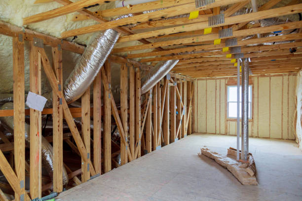 Best Insulation Removal  in Isle Of Palms, SC
