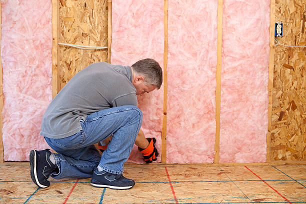 Best Spray Foam Insulation  in Isle Of Palms, SC