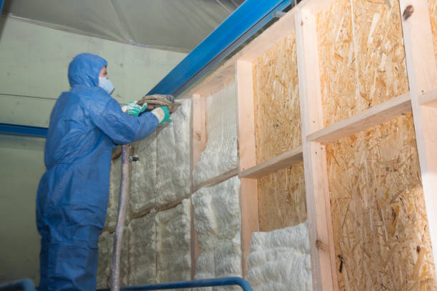 Insulation Replacement Services in Isle Of Palms, SC