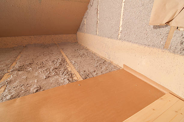 Best Insulation Inspection Services  in Isle Of Palms, SC